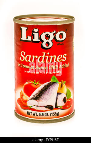Winneconne, WI -21 Sept 2015:  Can of Sardines in tomato sauce form the Philippines made by Ligo. Stock Photo