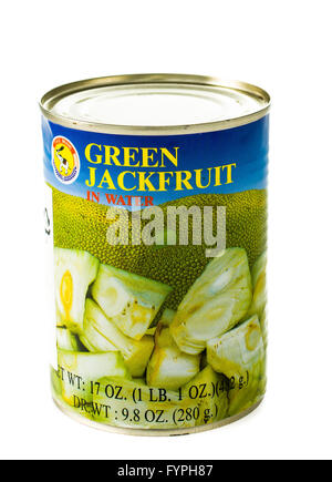 Winneconne, WI - 5 February 2015: Can of Green Jackfruit in water imported by the TAS Brand.. Stock Photo