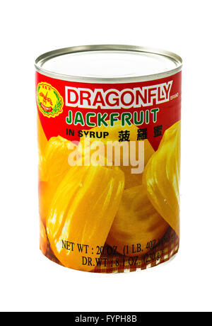 Winneconne, WI - 5 February 2015: Can of  Jackfruit in syrup imported by the Dragonfly Brand. Stock Photo