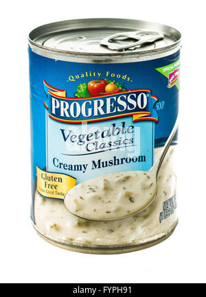 Winneconne, WI - 5 February 2015:  Can of Progresso Vegetable Classics Creamy Mushroom soup. Stock Photo