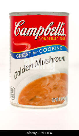 Winneconne, WI - 21 Nov 2015: A can of Campbell's golden mushroom soup Stock Photo