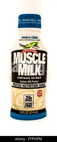 Winneconne, WI - 29 August 2015: Bottle of Muslce milk protein shake in vanilla creme flavor Stock Photo