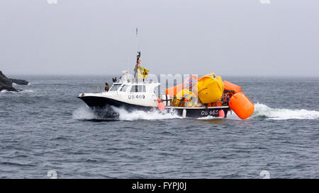 Small fishing boat involved in the Tarbert Regatta on the way in to Tarbert harbour, Loch Fyne, Argyll & Bute, Scotland, UK Stock Photo