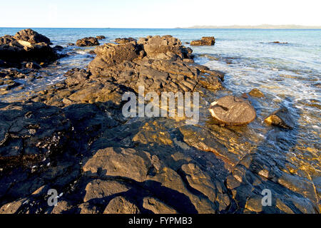 madagascar   seaweed in   sand isle  sky and rock Stock Photo