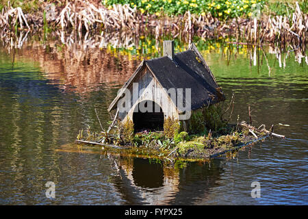 Old duck house made of wood on a raft on a pond Stock Photo