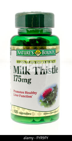 Winneconne, WI - 26 Nov 2015: Bottle of milk thistle  made by Nature's Bounty. Stock Photo