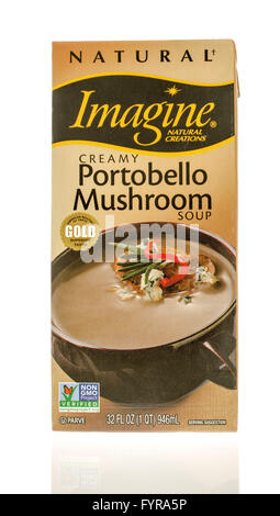 Winneconne, WI - 19 Nov 2015:  Box of natural creamy portobello mushroom soup made by Imagine. Stock Photo