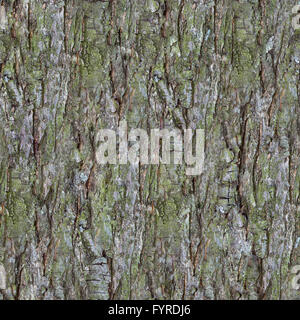 Pine Tree Bark Seamless Texture Stock Photo