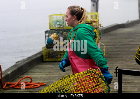 A Lobster Fisherwoman hauling traps Stock Photo