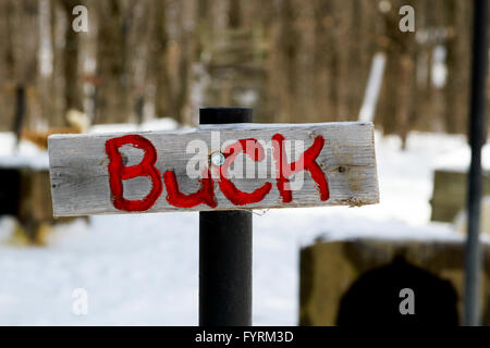 A dog sledding camp in Plessisville, Quebec. Canada. Stock Photo