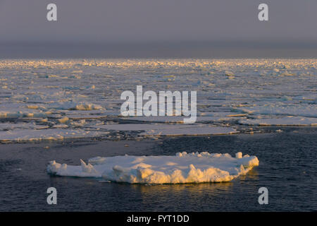 Pack ice in the Hinlopenstretet / Hinlopenstreet, strait between Spitsbergen and Nordaustlandet in Svalbard, Norway Stock Photo