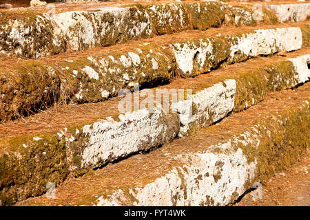 pine needles    ruins stone  theatre in   asia Stock Photo