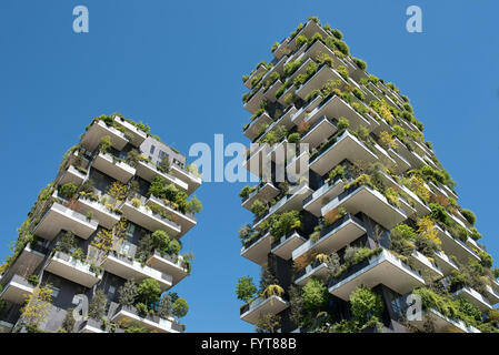 Low angle view on pair of unique tree and vine covered balconies of skyscrapers of Milan, Italy Stock Photo