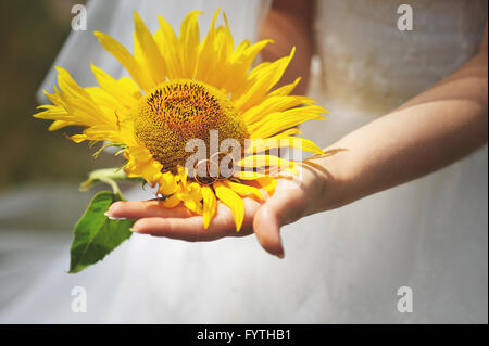 Bride with sunflower Stock Photo