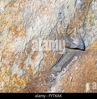 rocks stone and red orange gneiss in the wall of morocco Stock Photo