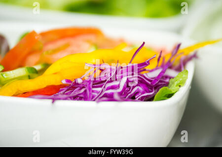 Closeup delicate fresh presentation of tuna salad in white bowl with colourful vegetables such as cole robbie, capsicum and tomatoes Stock Photo