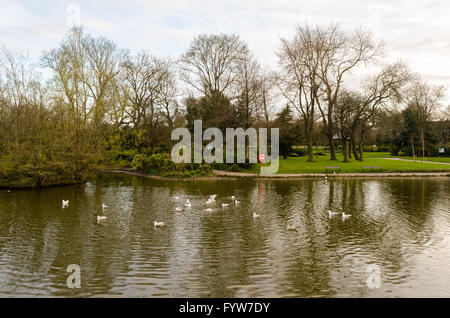 The Lake in Mowbray Park, Sunderland, Tyne & Wear Stock Photo