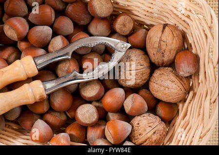 Walnuts with hazelnuts and nutcracker, nuts in brown whole shells, food lying in wicker bowl basket, view from above, horizontal Stock Photo