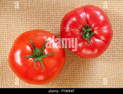 Two red tomatoes different fruits comparison, fresh mature vegetable food lying on mat, view from above. Stock Photo
