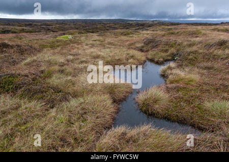 Dark Peak moors. The peat bog moorland plateau of Kinder Scout, Derbyshire, Peak District National Park, England, Great Britain, UK Stock Photo