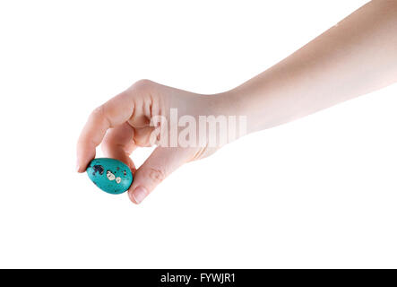 Quail egg in the hand Stock Photo