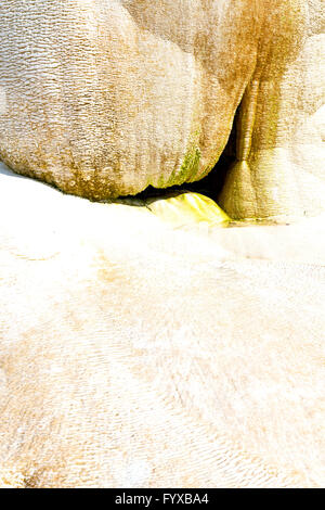 abstract in   turkey asia calcium  travertine water Stock Photo