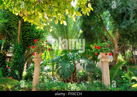 Gardens, Banys Arab, Palma de Mallorca, Mallorca, Spain / Spanish Baths, Banos Arabes Stock Photo