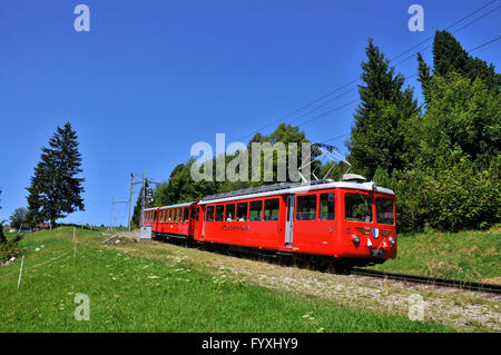 Vitznau Rigi Railway, rack-and-pinion railway, rack railway, Rigi, Canton of Schwyz, Switzerland Stock Photo