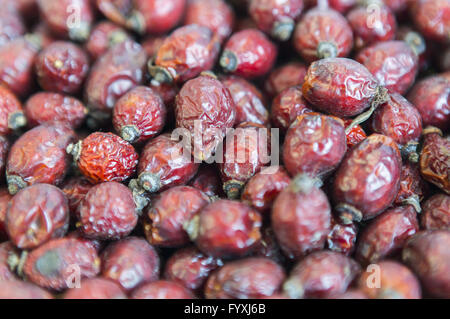 Dried rose hips Stock Photo
