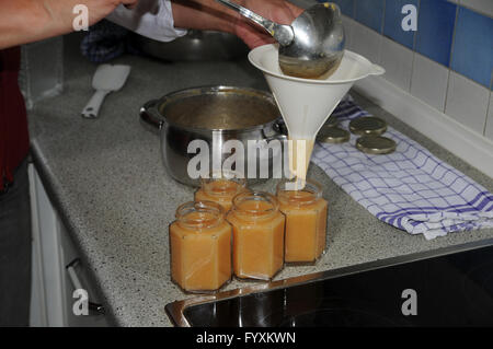 Cydonia, Quince, cooking jam Stock Photo