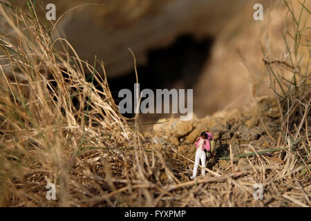 backpacker miniature stand in nature Stock Photo