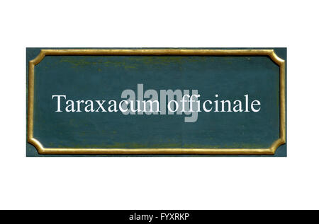 shield taraxacum officinale Stock Photo