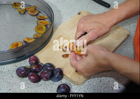 Drying fruits Stock Photo