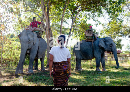 Asia. South-East Asia. Laos. Province of Champassak. Rural village.Mahouts and elephants waiting tourists for the ride. Stock Photo