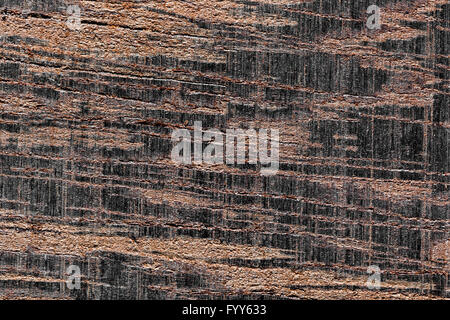 Wood background Stock Photo