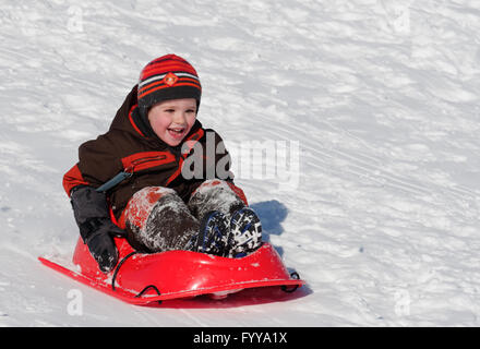 Laughing 4 year old boy in a sledge Stock Photo