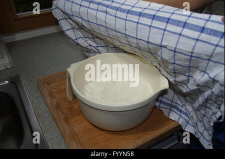 Baking pastries Stock Photo