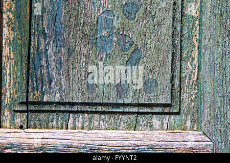 piece of wood brown knocker and wood  door cairate varese Stock Photo