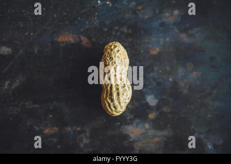 One fresh peanut in shell on dark backgrond Stock Photo
