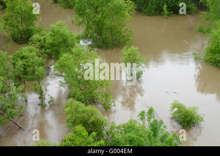 Trees and roads covered with flood water Stock Photo