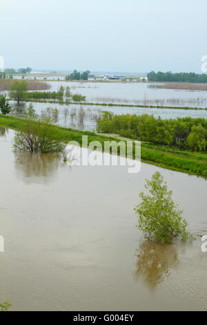 Trees and roads covered with flood water Stock Photo