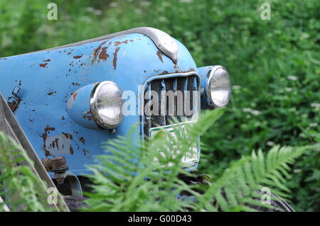 Nostalgic tractor in a meadow. Stock Photo