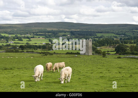 Old tower in Ireland Stock Photo