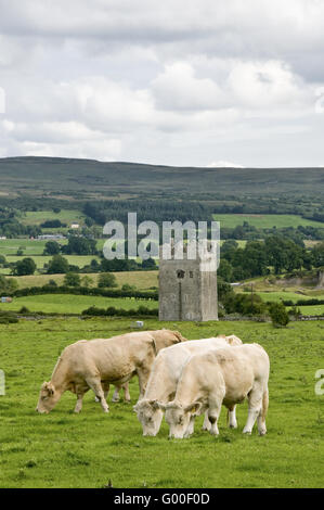 Old tower in Ireland Stock Photo