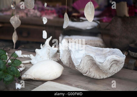 Seashell on the wooden table Stock Photo