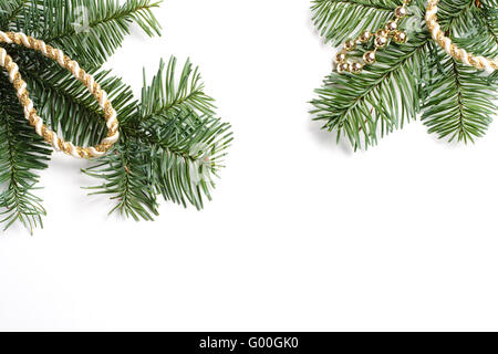 Frame of two fir branches at the corner isolated on white background Stock Photo