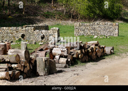 Dry Stone walling at Chevin Woods, at Chevin Forest Park, Otley, West Yorkshire. Stock Photo