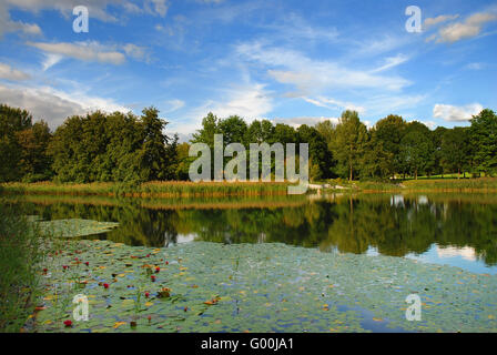 Water garden, Britzer Garten, Berlin, Germany Stock Photo Alamy