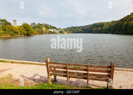 The tidal Mill Pond at Stoke Gabriel in the South Hams Devon England UK Europe Stock Photo