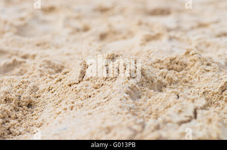 fine sand beach Stock Photo